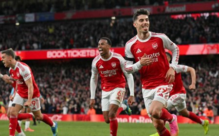 بعد 22 عاما: أرسنال يفوز ببطولة الدوري الإنجليزي الممتاز