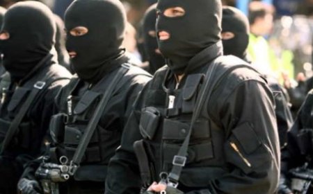 نيزافيسيمايا غازيتا: إيران تخشى أن تتعرض للغزو من البر