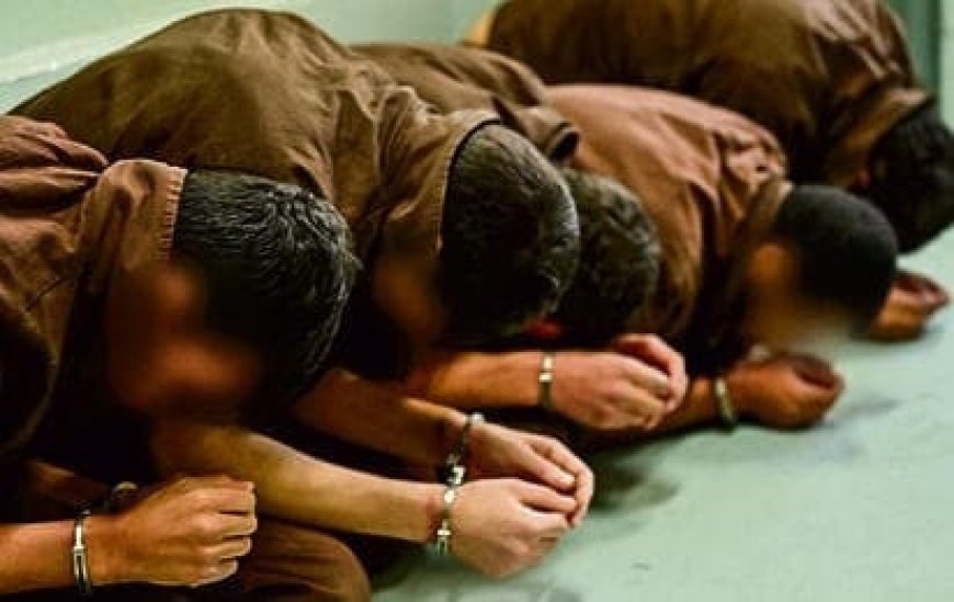 هكذا ستجري المحاكمة: إسرائيل تقر قانون إعدام "400 مقاتل من قوات نخبة حماس"