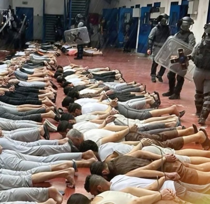 فتح وحماس تتصدران: إحصائية إسرائيلية تكشف خريطة الأسرى في السجون