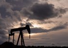أكبر متداول نفط مستقل عالمياً يسجل تراجعاً حاداً في أرباحه خلال 2025