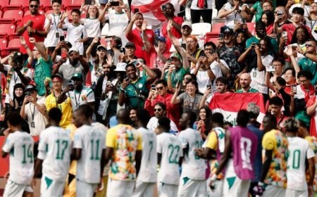 السنغال تراهن على مفاجأة أفريقية جديدة أمام بلجيكا