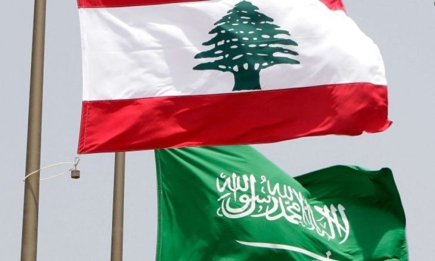 السعودية ترفع حظرا على الواردات من لبنان دعما للحكومة