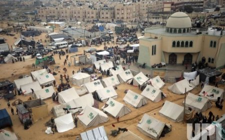مجلس السلام يستعد لاقامة منطقة انسانية تجريبية بغزة
