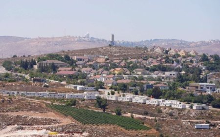 سلطات الاحتلال أصدر 49 أمرًا عسكريًا استهدف 2093 دونمًا بالضفة