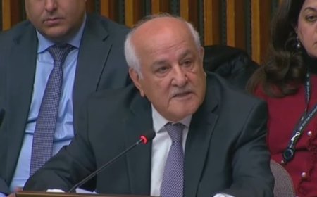 رياض منصور: الحرب الإقليمية لا تخدم القضية الفلسطينية