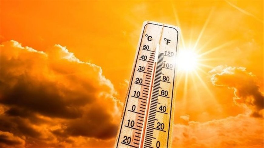 كيف تتحول درجات الحرارة المرتفعة إلى فاتورة اقتصادية بمليارات الدولارات؟