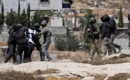 «فايننشال تايمز»: تسارع الاستيطان الإسرائيلي يهدد فرص إقامة دولة فلسطينية