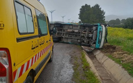 مصر.. 16 قتيلاً و28 مصاباً في انقلاب حافلة بجنوب سيناء