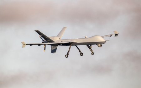 إيران تعلن إسقاط طائرة مسيّرة من طراز MQ-1 فوق مضيق هرمز