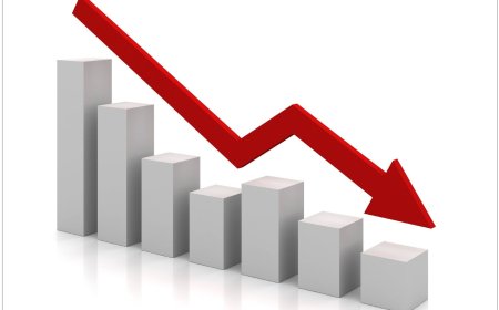 الصادرات الفلسطينية ترتفع 32% في يوليو وإسرائيل تستحوذ على 96% منها
