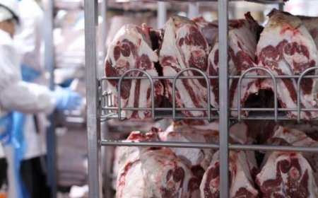 بعد جدل الـ15 مليون شيكل.. الاقتصاد تتوعد تجار اللحوم المخالفين لخفض الاسعار
