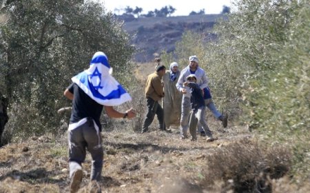 الجيش الإسرائيلي: مواجهة اعتداءات المستوطنين تستحوذ على ما يصل إلى 45% من نشاط قواته في الضفة