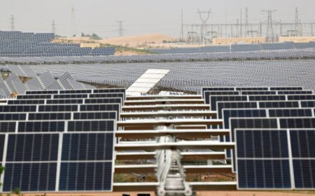 تباطؤ مرتقب في نمو الطاقة المتجددة عالميًا خلال 2026 بسبب تحديات الشبكات التجارية
