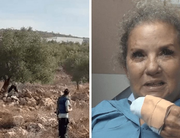 هاكابي يصف الاعتداء على مصورة «واشنطن بوست» بالإرهابي.. وهرتسوغ يعتذر لها