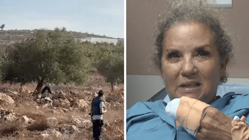 هاكابي يصف الاعتداء على مصورة «واشنطن بوست» بالإرهابي.. وهرتسوغ يعتذر لها