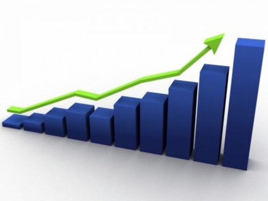 ارتفاع محدود في الإنتاج والتشغيل خلال عام 2025 مقارنة بالعام 2024،  مع بقائها بمستويات أقل مما كانت عليها قبل العدوان